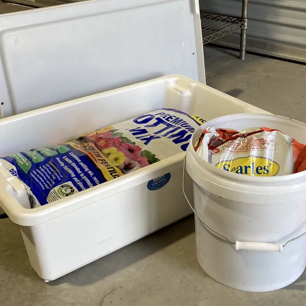 Pot Plant Maintenance pot-plant-maintenance